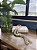Colar de Mesa WOOD NATURAL - Madeira 51cm - Imagem 3