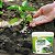 Adubo Fertilizante Forth Jardim 3kg Gramado Para Grama (7898268381039) - Imagem 4