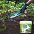 Adubo Fertilizante Forth Jardim 3kg Gramado Para Grama (7898268381039) - Imagem 5