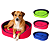 Caminha Europa Neon Para Cães e Gatos – Conforto e Estilo - Imagem 1