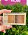 Paleta de Sombra Gold Luisance - Imagem 2