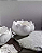 Pote Flor da Lua Decorativo - Imagem 1