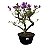 Pré Bonsai de Primavera Roxa - 8 Anos - PB34 - Imagem 2