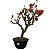 Pré Bonsai de Primavera Vermelha - 8 Anos - PB37 - Imagem 2