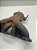 Coletor Escape Peugeot 206 1.0 16v - Imagem 4