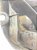 Lanterna Traseira Direita Fiat Palio 1997 1998 1999 - Imagem 6
