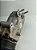 Compressor Ford Ka Ecosport 1.5 3cc 2018 A 2021 - Imagem 7
