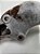 Suporte Coxim Direito Peugeot 206 1.6 8v 9634999680 - Imagem 3