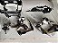 Kit Airbag Gm Cruze Ltz 2017 2018 2019 2020 - Imagem 11