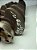 Virabrequim Volkswagen Golf 1.6 2003 A 2008 Std - Imagem 5