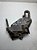 Suporte Direito Coxim Motor Ford New Fiesta 1.5 2010 A 2015 - Imagem 2