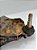 Bandeja Inferior Dianteira Esquerda Gm S10 2.8 2015 A 2021 - Imagem 4