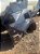 Lateral Direita Nissan Tiida Hacht - Imagem 4