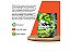 Chiclete Trident Citrus Mix Gamers Pote 48,3g - Imagem 3
