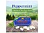 Barkley's Chewing Gum Peppemint Sugarfree 30g - Importado Europa - Imagem 2