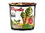 Breadstick Com Creme De Pistache Frapella 55g - Importado - Imagem 1