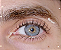 SIRI GRAY - Imagem 3