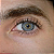 SIRI GRAY - Imagem 1