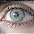 GOGH N GRAY - Imagem 3