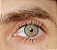[UMA LENTE] SIRI GREEN (COM GRAU - UNIDADE) - Imagem 10