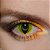 YELLOW CAT EYE - Imagem 3