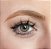 TWILIGHT BROWN - Imagem 1