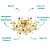 Plafon 72X35cm 20xG4 Metal Gold Cristais DCX06218D - Imagem 3