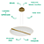 Pendente Led Friso 66x2cm 35W 1750Lm 3000K Dourado BD006 - Imagem 3