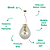 Pendente Caju 3xE27 48X63Cm Bulbo Transparente Dourado IP20 CAJ1PD01TR063 - Imagem 3