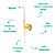 Arandela Parede Led Pétra 3W 3000K 300Lm 12x11x53Cm Dourado IP20 OC004M - Imagem 3