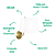 Arandela Parede Candela E14 26x32x32Cm Dourado IP20 SQ017G - Imagem 3