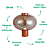 Abajur Led Mirage 1W 3000K 300Lm 36cmx35cm Cobre Champanhe HM015EC - Imagem 3