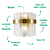 Arandela Nexia 26cmx15,5cmx25,5cm 2xG9 Halopin Max 5W Transparente Dourado NEX1AR01TR026 - Imagem 3
