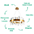 Pendente Led Kryp 46W 3000K 2800Lm 60cmx30cm Dourado KRY1PD01DR060 - Imagem 3