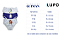Kit 3 Calcinhas Da Frozen Infantil Lupo - Imagem 2