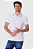 Camisa Polo Básica Masculina Slim Bordado Frontal Em Piquet Premium Malwee - Imagem 8