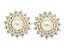 BB 2964 Brinco Flor Zircônias(12mm)c/ Pérola(0,5mm) no Meio BRUNA Semi jóias - Imagem 1