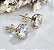 BF 0085 Brinco Coração Zircônias (8mm c/ 5 garras) MD Folheados - Imagem 1