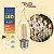 Kit 2 Lâmpadas Filamento Led Ba35 Chama Âmbar 4w 2300k Bivolt - Imagem 3