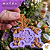 Molde Arabescos Avi 068 - Imagem 1