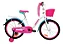 BICICLETA ARO 20 - Imagem 1