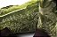 Bota Masculina Goyazes Head Brow - Dallas Folha - Imagem 8