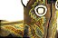 Bota Masculina Durango / Med Dog Apache - Solado Jump - Imagem 13