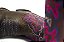 Bota Feminina Durango / Med Dog Cereja - Solado Gel - Imagem 8