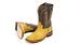 Bota Masculina Jácomo Exótica - Jacaré Cauda Havana - Napa Cafe (E) 2882 RGDQ - Couro - Imagem 2