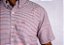 Camisa Masculina Fayad - Manga Curta 03 - Imagem 2
