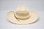 Chapéu Importado Resistol - Modelo USTRC WILD FIRE - Imagem 5