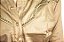 Camisa Feminina Zenz Criolo - Imagem 3