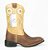 Bota unissex Austin Ranch - Cano Médio/ Bico Quadrado/ Solado Flex/ Cor: Fossil Tabaco/ Dallas Creme - Cód. 12A007F2P - Imagem 9