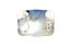 Fivela PBR - Imagem 2